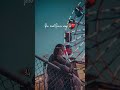 SHARRY MAAN NEW WHATSAPP STATUS SHARRY MAAN SONG STATUS NEW PUNJABI SONG 2022