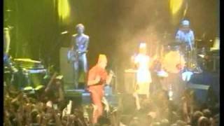 Monkey Business-Sensation