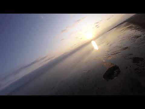 xuav-snowgoose-at-sunrise
