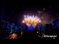 Disneyland Disneyland Forever Disney Video