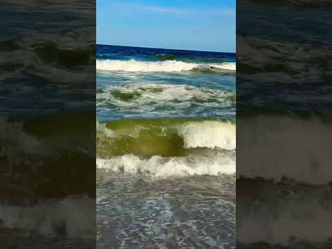 Beach ￼day❤️‍🔥🏖️ #youtube#shorts#fyp#viralshort#day#fun#summer#support#love