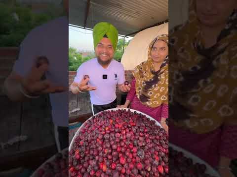 Soani Food signature collection video