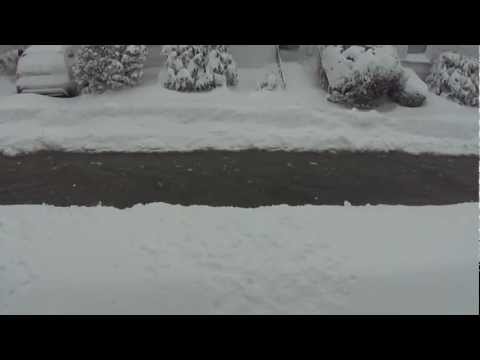 Nemo 2013 Forrest St, Winthrop MA