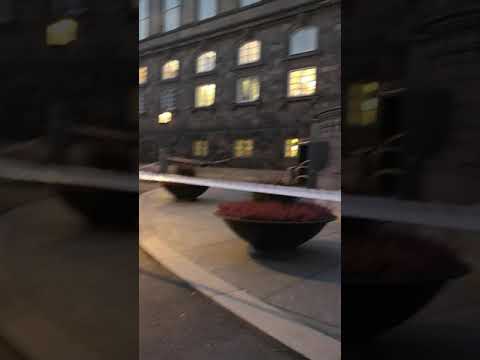 Demonstration i København. Демонстрация в Копенгагене против эпидемического закона