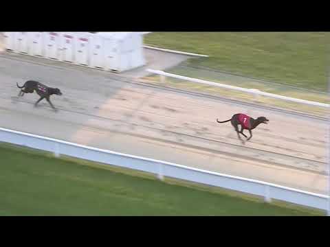 2018 STAR SPORTS DERBY - ROUND 1 HEAT 22 -T1 MAGICAL BALE