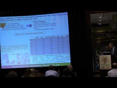 Making Wheat Technically Gluten Free – Marco Gobbetti