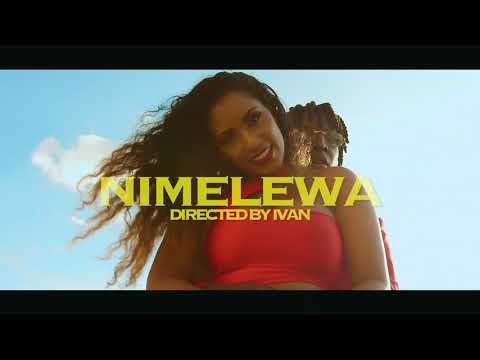 Willy Paul - Nimelewa (Official video)