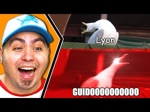 THE BEST MOMENTS FROM WGF LIVE!!