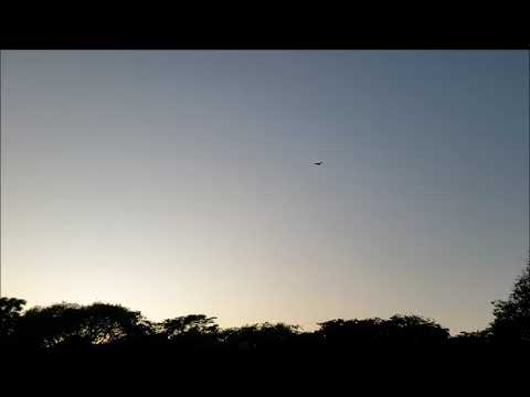 Bob Moses Quintet (Lyle Mays, Bill Frisell, Bob Mintzer & Mike Richmond), Somerville (1983)