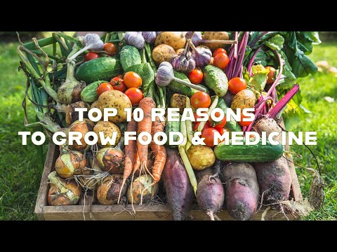 Top 10 Reasons to Grow Your Own Food & Medicine | Food Forest Design Solutions | Edible Landscapes