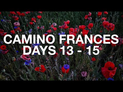 Camino Frances #5 | Days 13 - 15 | Burgos to Frómista