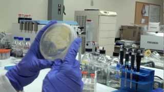 Biologist & Chemist - Career Spotlight