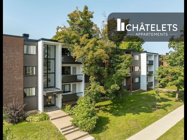 Appartement 3 ½ à louer Sainte-Foy / Sillery juillet 2026 in Long Term Rentals in Lévis