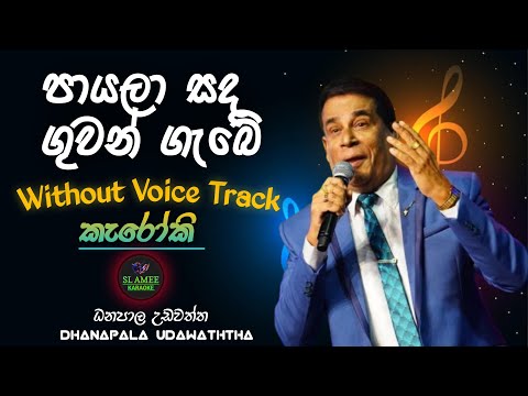 Payala Sada Guwan Gebe Karaoke Without Voice Lyrics Danapala Udawaththa SL AMEE KARAOKE #karaoke