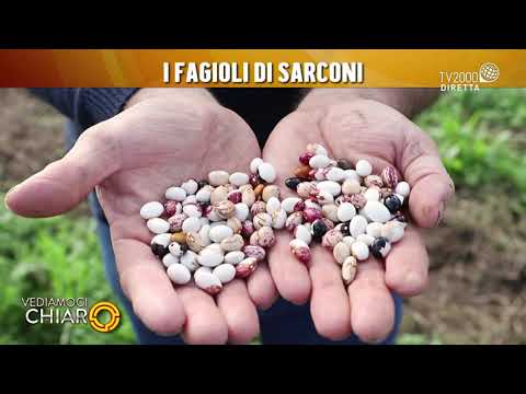 Vediamoci Chiaro, 25 novembre 2021 - I fagioli di Sarconi
