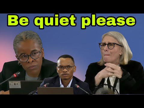 Commissioner Sesi Baloyi embarrass Lawyer for Gareth Mnisi.Adv Van den Heever