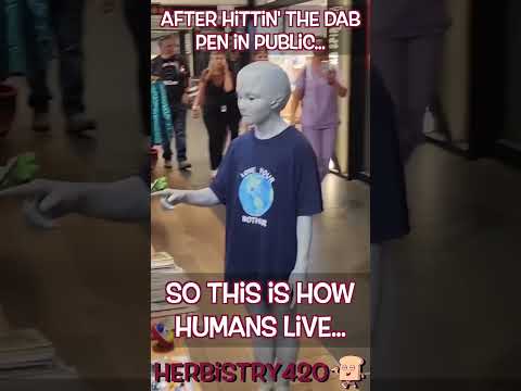 Dab Pen in Public – So This is How Humans Live?
