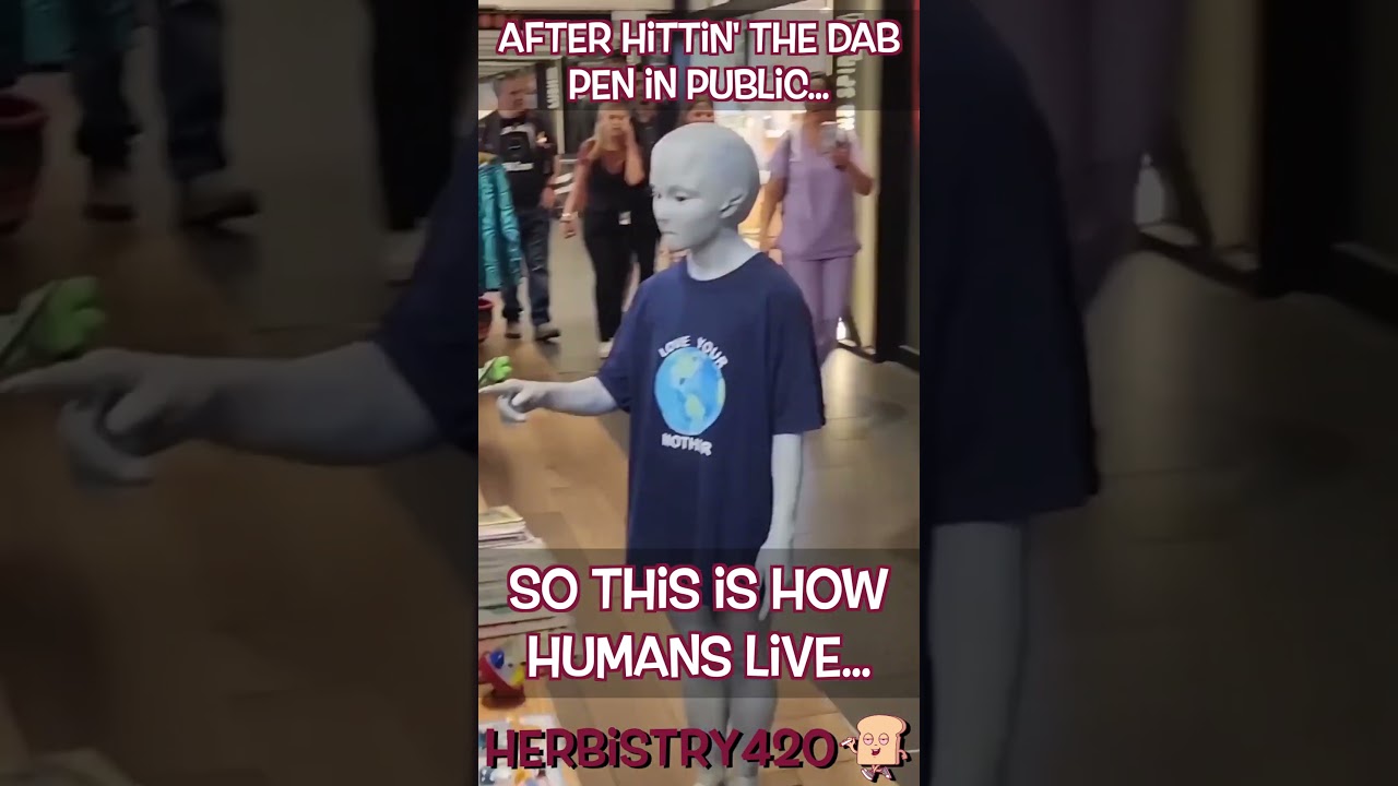 Dab Pen in Public – So This is How Humans Live?