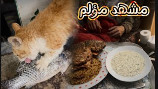 مشهد واحد يلخّص واقعنا اليوم في خيمة