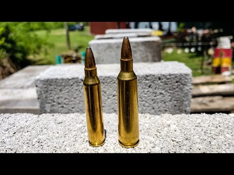 .223 vs .22-250 - How Many Pavers???