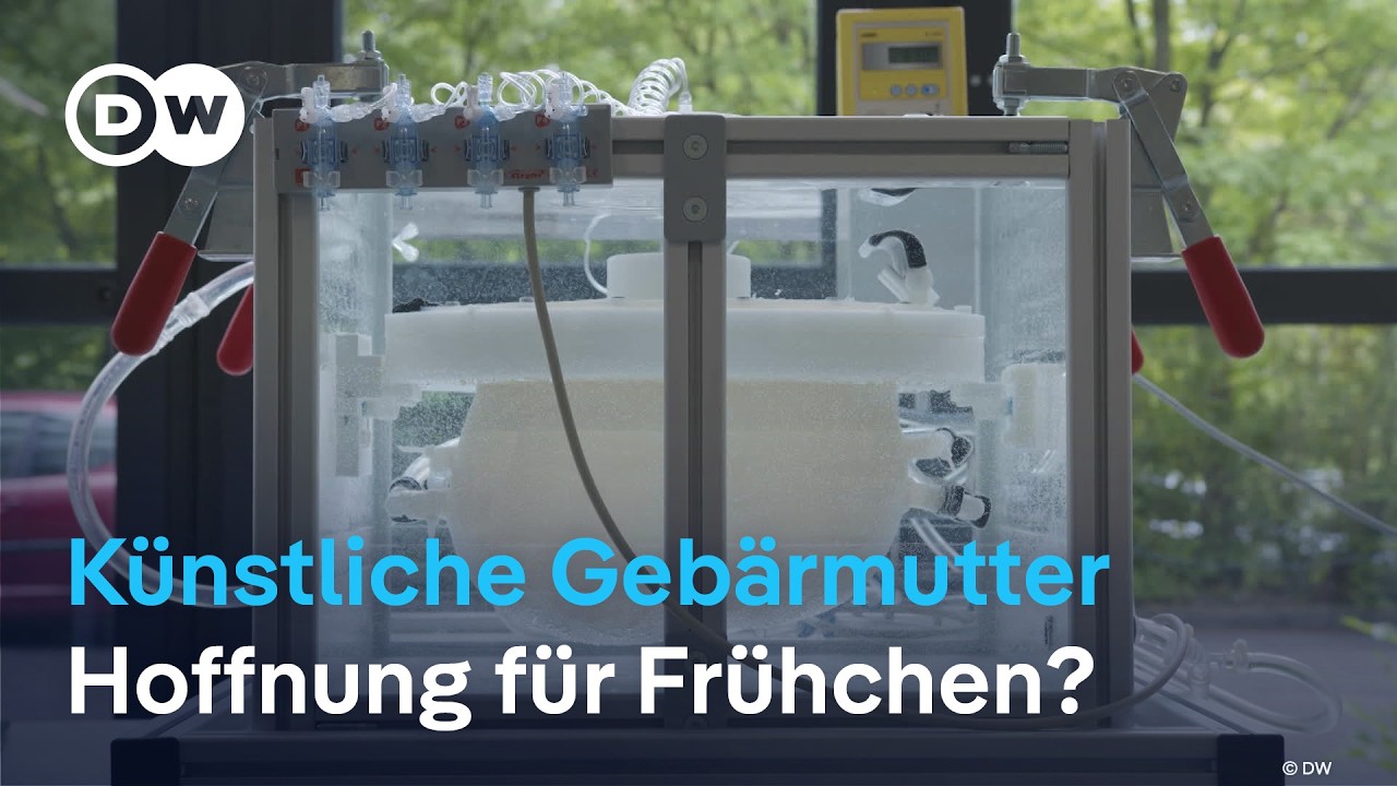 Wer kontrolliert die Fortpflanzung?