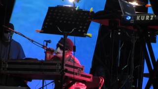 John Cale/The Velvet Underground - European Son (W/ Clinic)