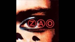 Zao - Circle IV The Hoarders and the Spendthrifts: Skin Like Winter