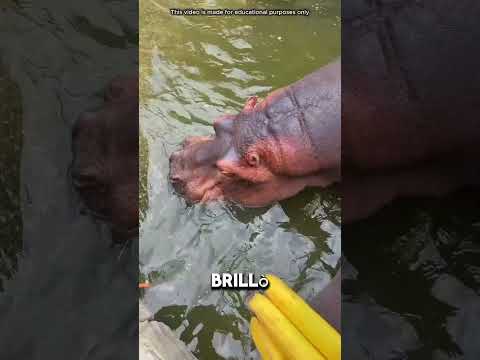 Piccole cose, grandi desideri 🌱➡️🎃