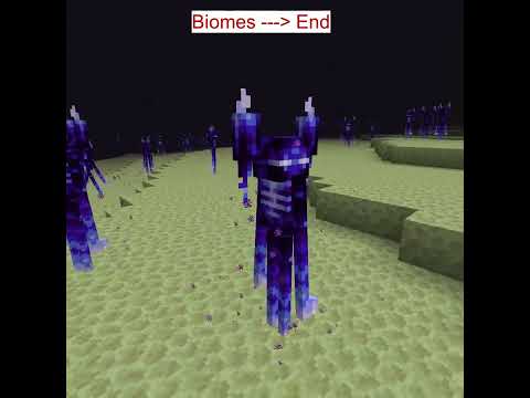 A Different Enderman According To The Biomes