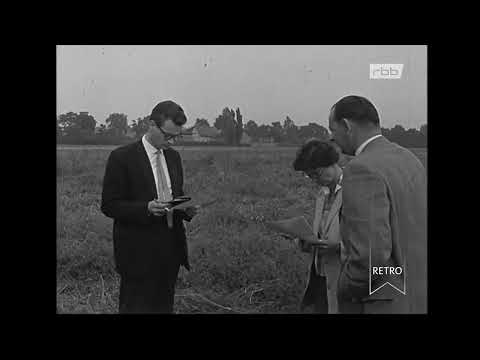 rbb Retro - Berliner Abendschau: Kartoffelrodung in Gatow Doku (1961)