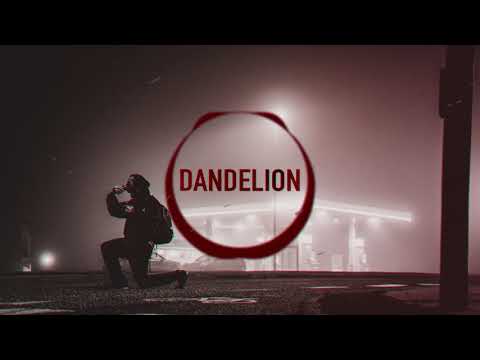 E6 - DANDELION