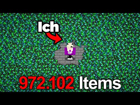 Dem GANZEN SERVER alle ITEMS geklaut! 😈