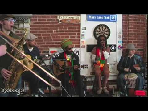 EASY STAR ALL-STARS "Bed Of Rose" acoustic