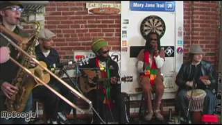 EASY STAR ALL-STARS &quot;Bed Of Rose&quot; acoustic