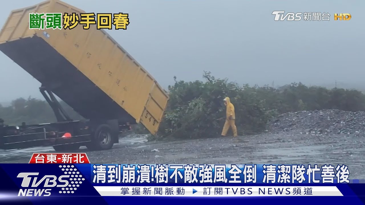 清到崩潰!樹不敵強風全倒 清潔隊忙善後