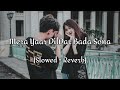 Mera Yaar Dildar Bada Sona Lofi Slowed Rewarb Slowedreverb 90ssong 90s Evergreen Lofi