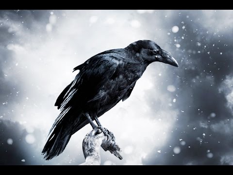 Voces Thules - Krummavísur