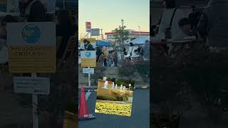 Download lagu Walk short cut #shorts mp3