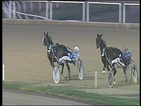 Trotto 23/12/2016 - 4ª corsa