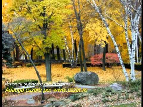 Cazare Cretestii de Sus, Vaslui - Cazat.ro