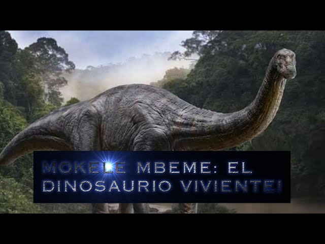Vídeo relacionado con Mokele mbembe: El dinosaurio del congo Camiseta sin Mangas