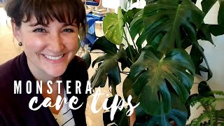 🌿 Monstera Deliciosa Care & Tips