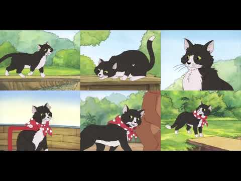 Cat (Little Bear) Images Collage from S2 E3c