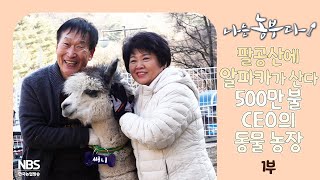 [나는농부다 285회 1부] 팔공산에 알파카가 산다 5백만 불 CEO의 동물 농장