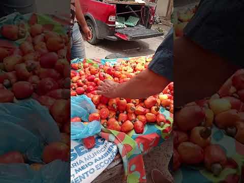 PROVANDO DO CAJÚ NA FEIRA DE JUPI-PE