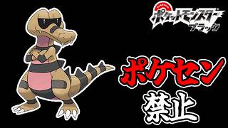 全世代ポケセン縛りでクリアする part6 BW編