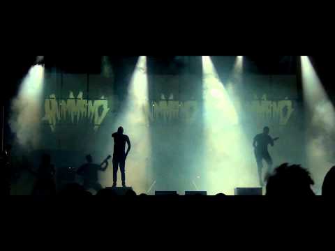 Hummano - Fucking Dogstyle (Live Video)