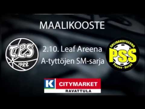 ASM TPS - PSS 2.10. maalikooste