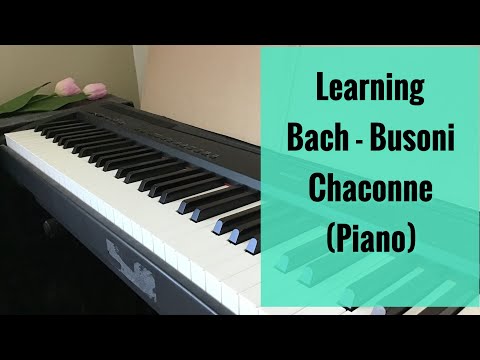 Learning Bach-Busoni Chaconne (Excerpt) BWV 1004 (Piano)