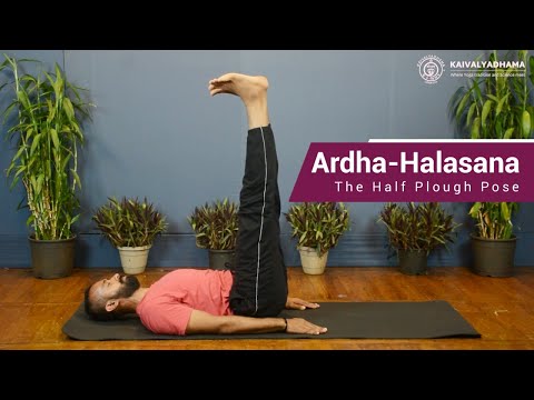Ardha-Halasana - The Half Plough Pose | Kaivalyadhama Yoga Institute